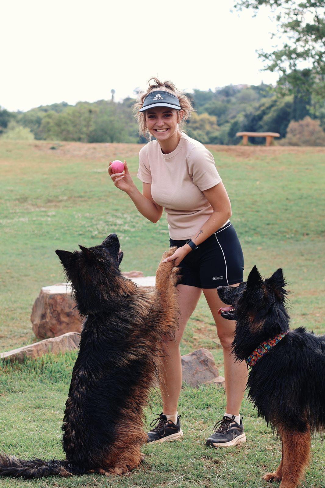 Chane training two german shepherds